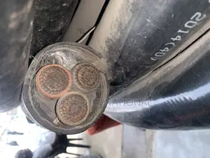 300mm 3core Armored Cable
