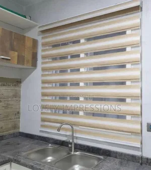 Executive Home Day and Night Window Blinds