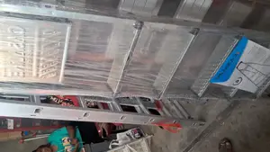 6 Steps Aluminium Ladder