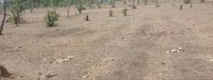 Residential Land at Life Camp