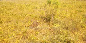 882sqm at Dape Lifecamp