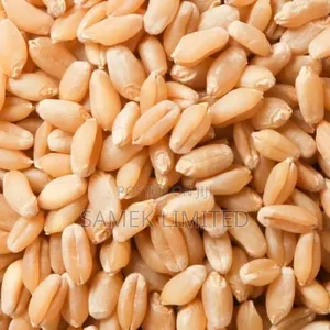 Wheat Seed 1paint