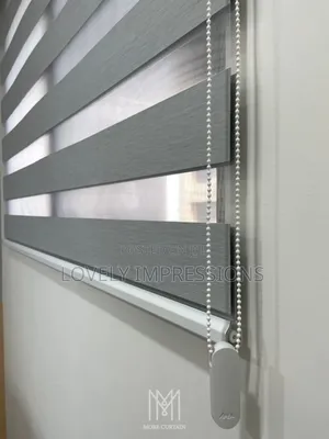 Gray Day and Night Window Blinds
