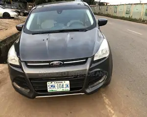 Ford Escape SE 2013 Gray