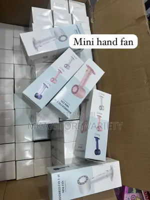 Mini Party Fan