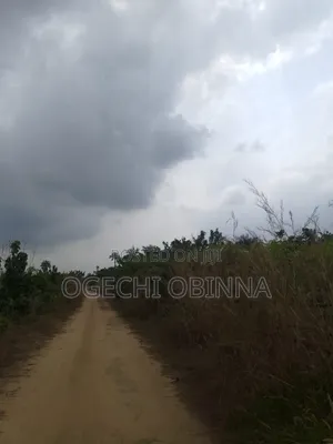 Distress Sale of 10 Plots of Land for 3m in Ulakwo Etche