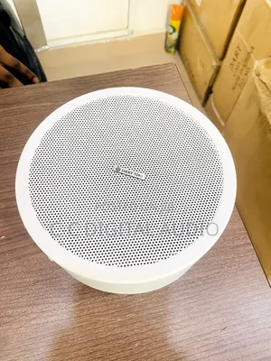 Surface Speaker