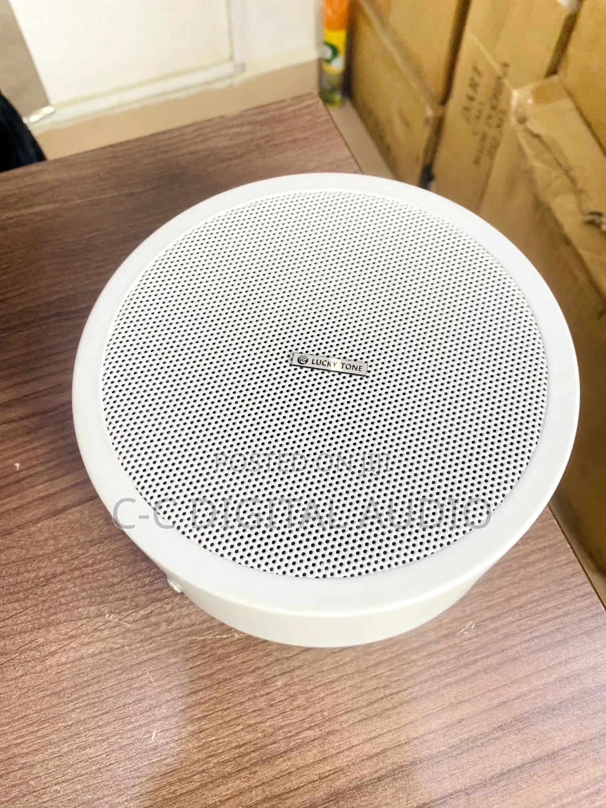 Luckytone Surface Speaker