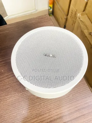 Luckytone Surface Speaker