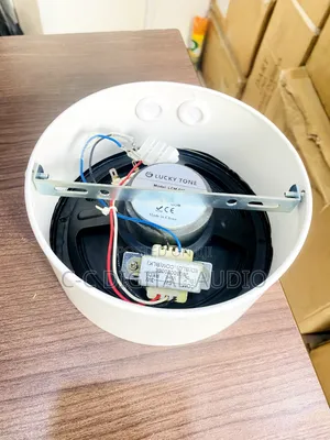 Luckytone Surface Speaker