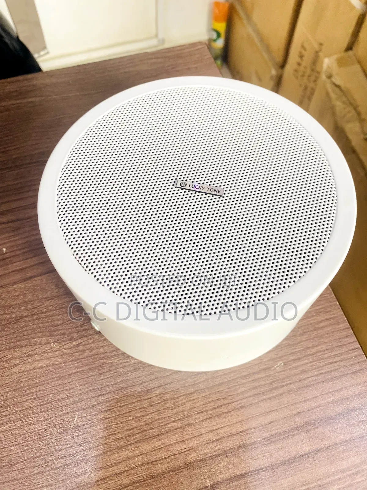 Luckytone Surface Speaker