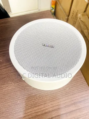 Luckytone Surface Speaker