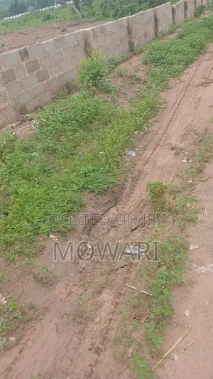 St Kitts, Ibusa • Verified 50×100 Land • ₦6m • Secure Docs
