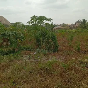 A Plot of Land