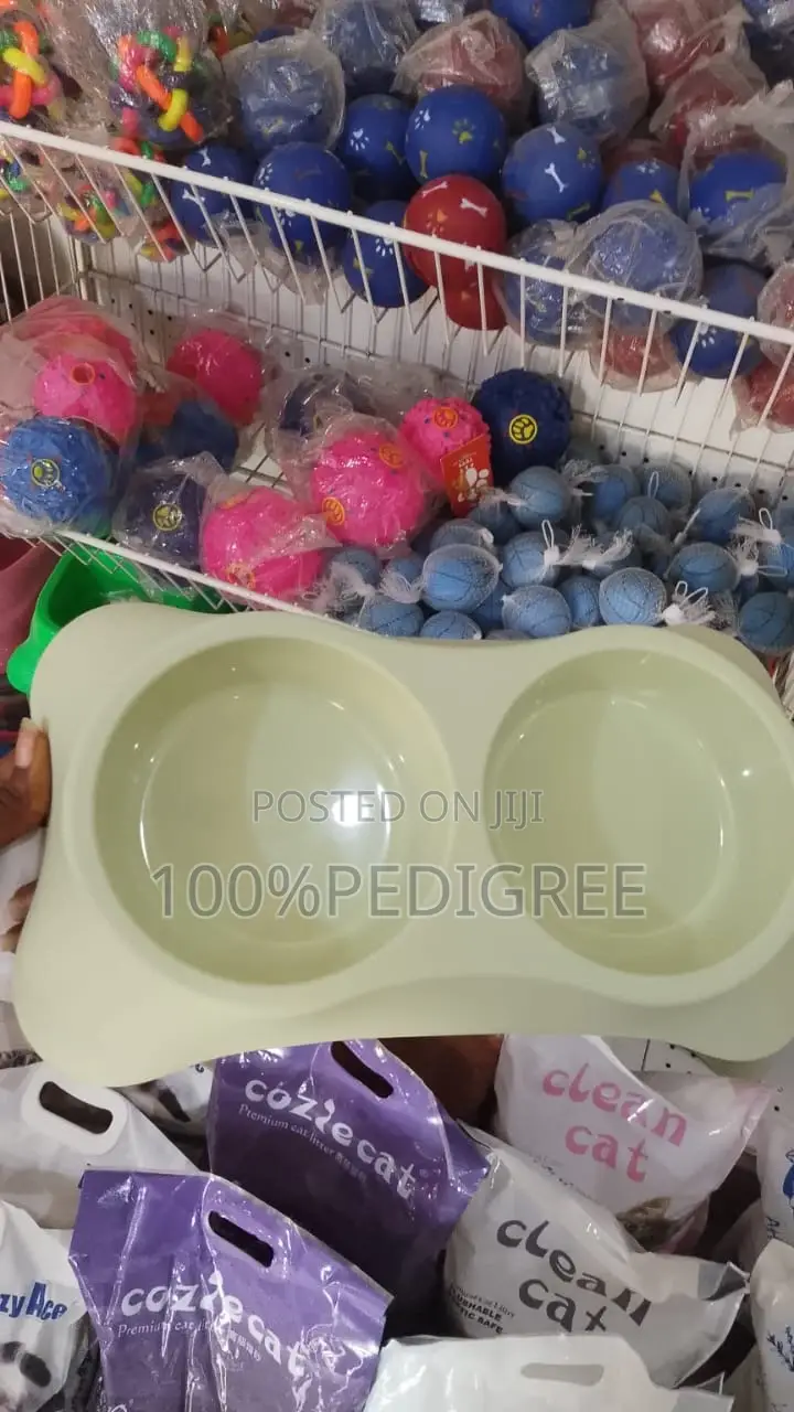 Dog Plates