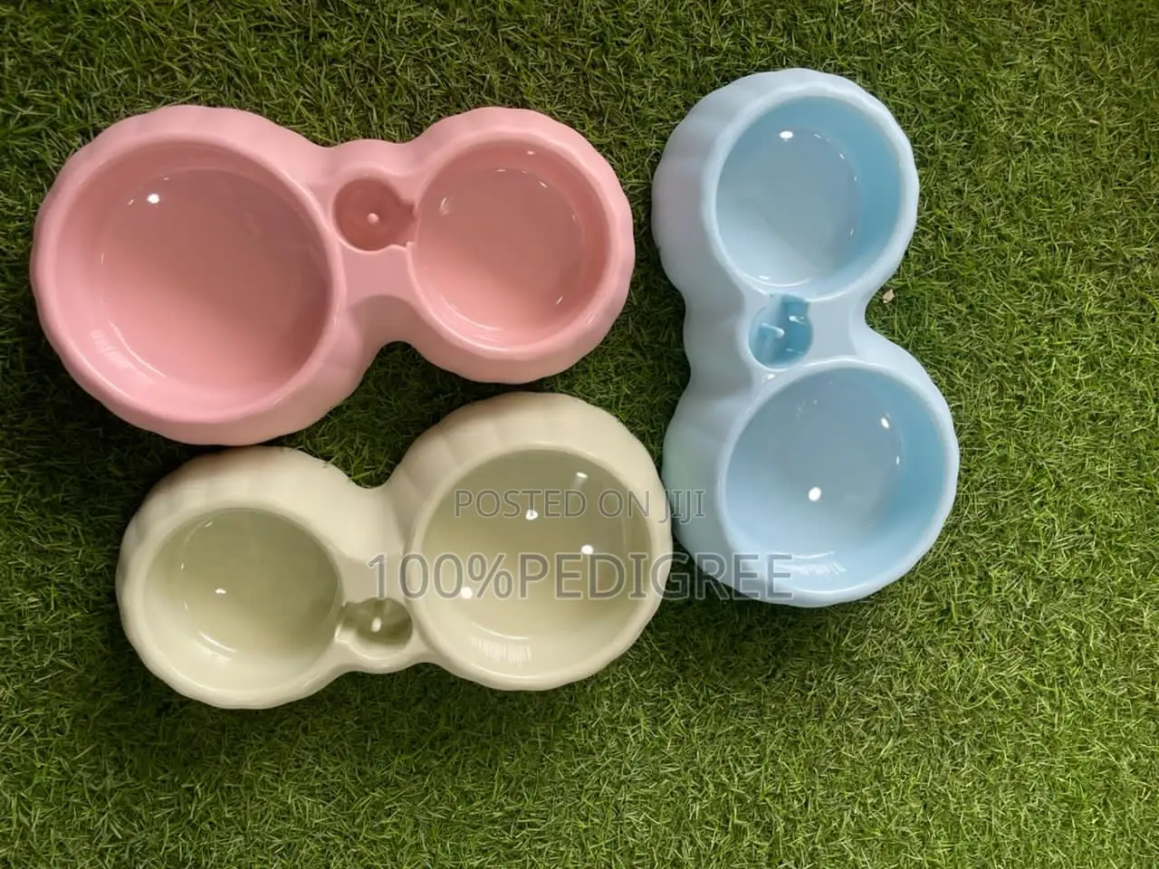Dog Plates