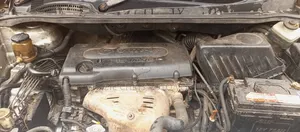 Toyota Ipsum 2010 Gold