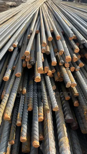 Tiger TMT Iron
