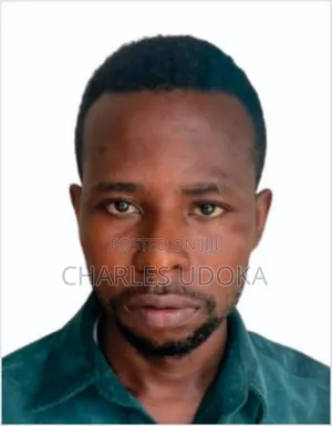 Mr Charles Udoka Onwacheri