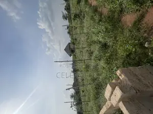 100ft by 50ft Land at Obagie/Utesi Rd Residential Location