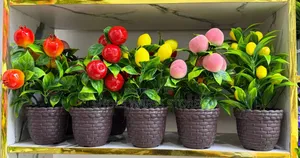 Beautiful and Decorative Table Flower