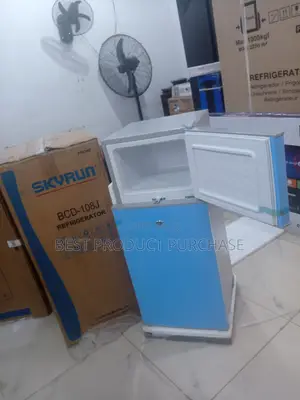 Lowest Price on Skyrun 108l Double Door Refrigerator