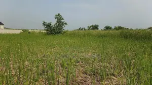 Survey Title Lands For Sale