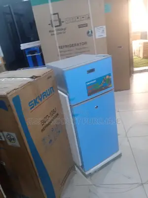 Keep Food Fresh With Skyrun 108 Liters Double Door