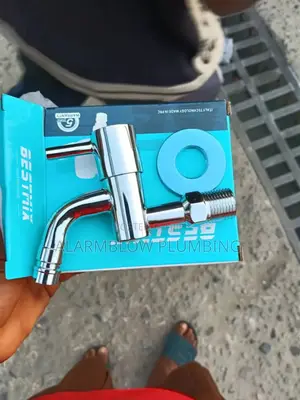 Bestmix Wall-Mounted Chrome Bib Tap.