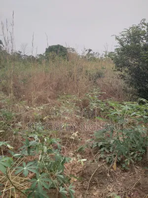 210 Plots of Land for Sale