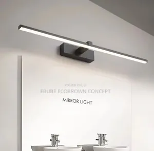 Latest Design Mirror Light Lamp Light for Your Picture and Frames