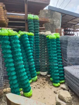 Mesh Wire Galvanized Net of All Types