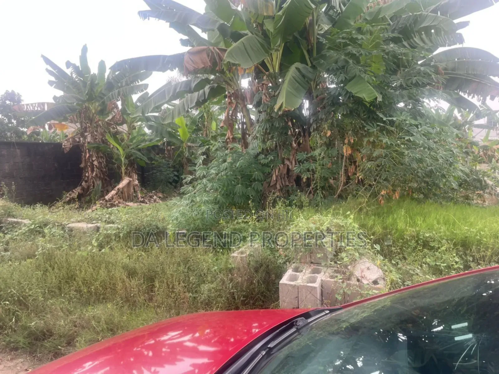 Plot for Sale