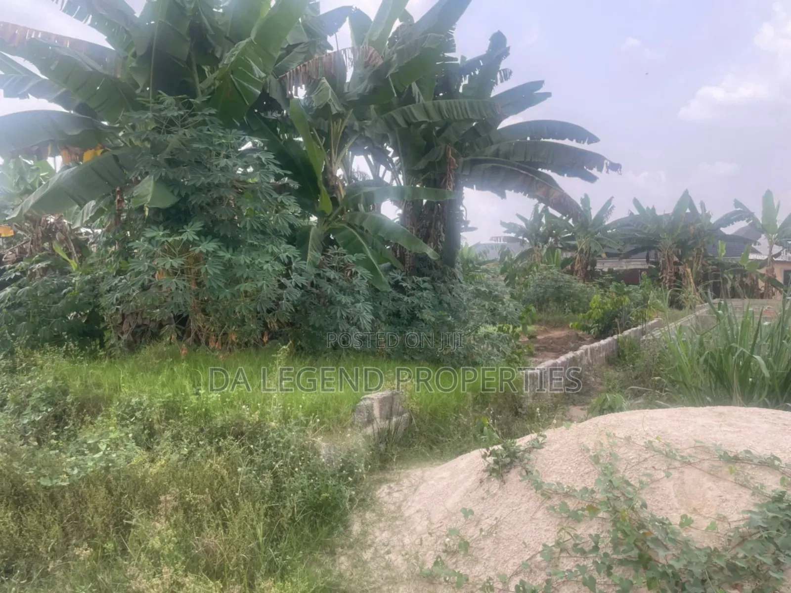 Plot for Sale