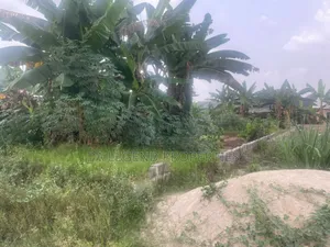 Plot for Sale