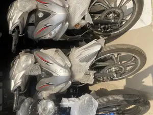 New Denstar Taurus 2026 Silver