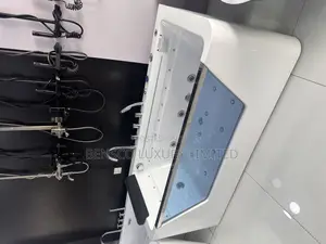 Acrylic Whirlpool Steam Jacuzzi