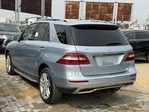 Mercedes-Benz M Class 2014 Blue