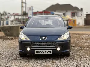 Peugeot 307 2007 Blue