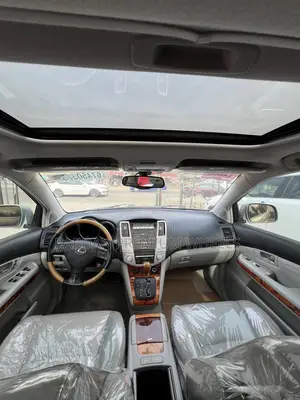 Lexus RX 330 2006 Gray