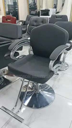 Salon Chair