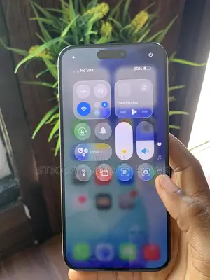 Apple iPhone 15 Pro Max 512 GB Gray