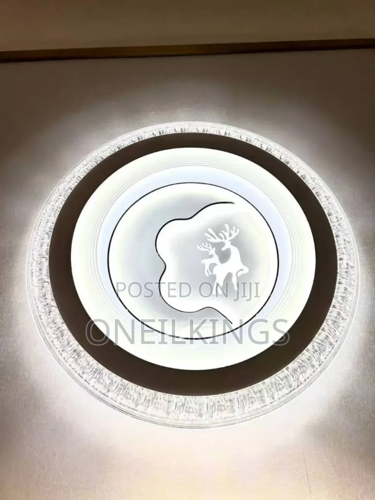 Ceiling Fittings