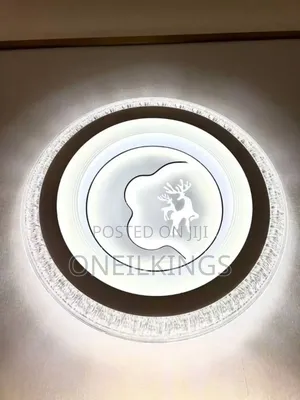 Ceiling Fittings