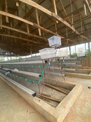 Battery Cage