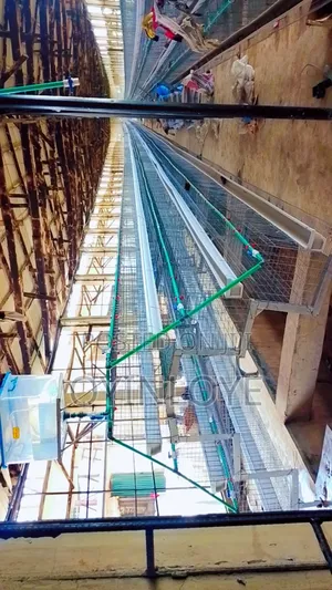Cages and Material