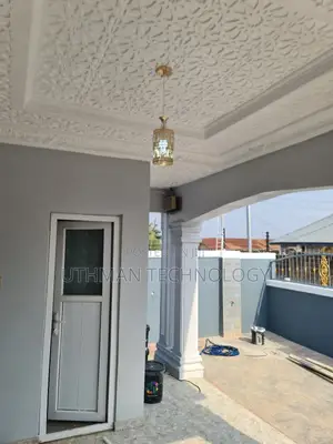 Professional Electrician