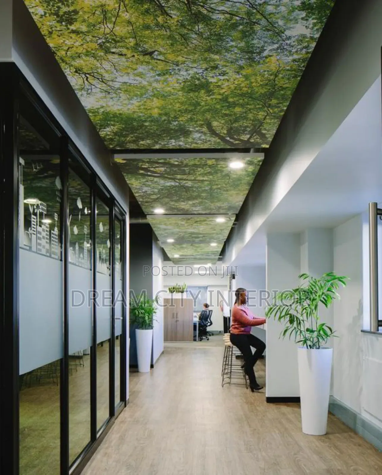 3d Stretch Ceiling Designs