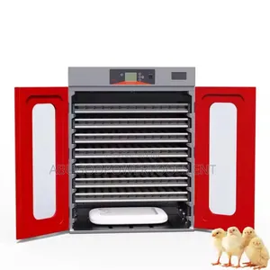 Eggs Incubator