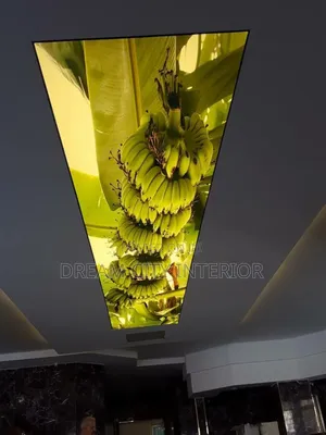 3d Stretch Ceiling Designs